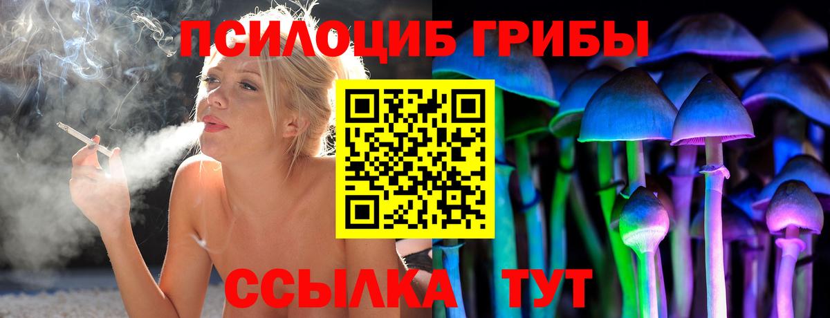 Псилоцибиновые грибы прущие грибы  Вход с VPN  Новокубанск 