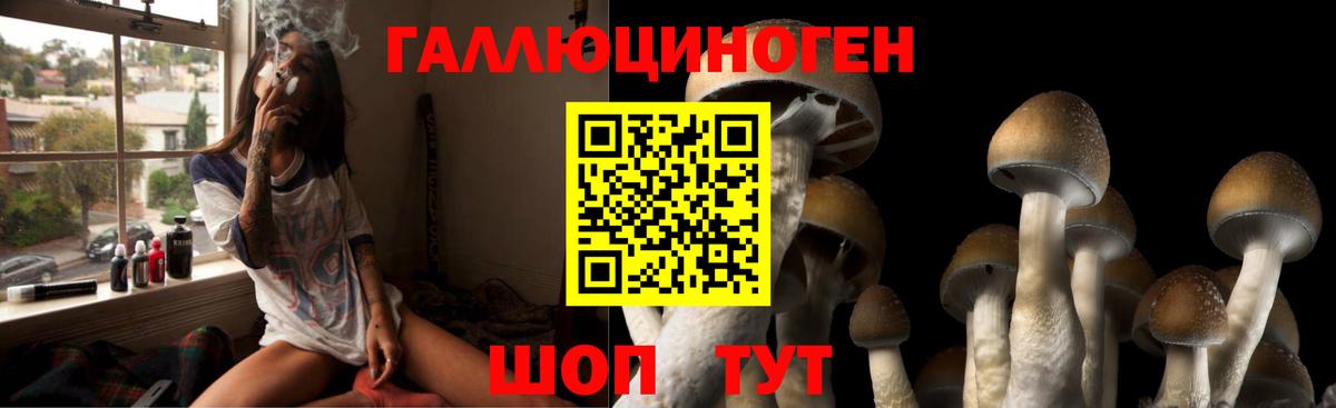 Галлюциногенные грибы прущие грибы Новокубанск